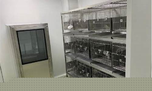南京动物房无尘车间改造装修公司